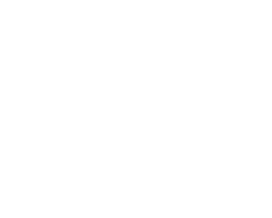 Canvas Logo